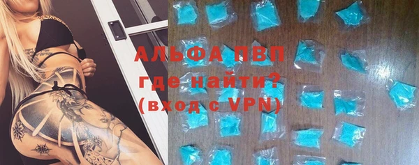 сатива Волосово