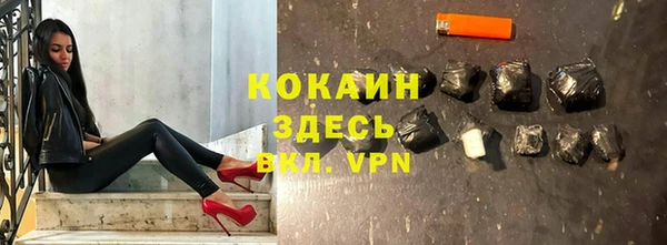 сатива Волосово