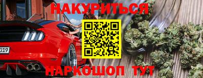 индика Боровичи