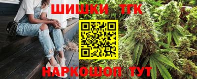 индика Боровичи