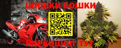 индика Боровичи