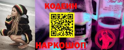 индика Боровичи