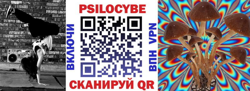 купить наркотики сайты Мончегорск Галлюциногенные грибы мицелий